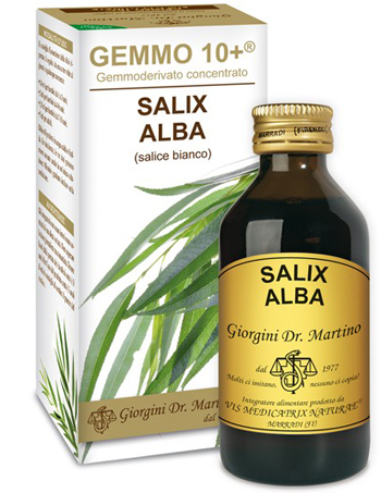 GEMMO 10+ SALICE BIANCO 100 ML LIQUIDO ANALCOLICO - dottorbianchi.it