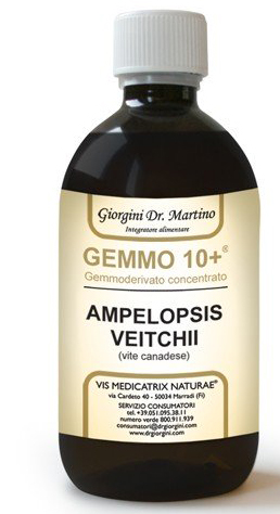GEMMO 10+ GEMMODERIVATO CONCENTRATO LIQUIDO ANALCOLICO AMPELOPSIS VEITCHI VITE CANADESE 500 ML - dottorbianchi.it