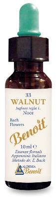 FIORI DI BACH BENOIT WALNUT 10 ML - dottorbianchi.it