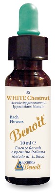 FIORI DI BACH BENOIT WHITE CHESTNUT 10 ML - dottorbianchi.it