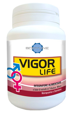 VIGOR LIFE 40 CAPSULE - dottorbianchi.it