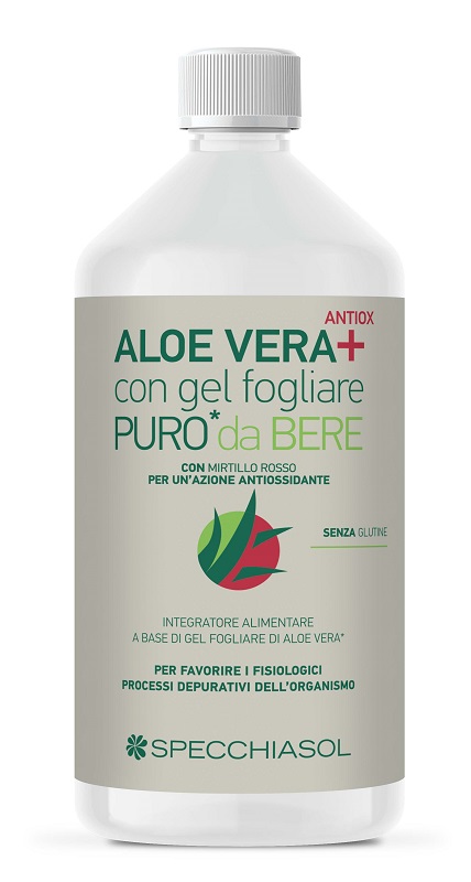 SUCCO ALOEVERA+ ALOE/MIRTILLO ROSSO 1 LITRO - dottorbianchi.it