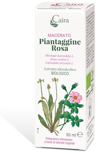 CAIRA PIANTAGGINE ROSA MACERATO IDROALCOLICO GOCCE 50 ML - dottorbianchi.it