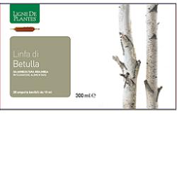 LINFA DI BETULLA BIOLOGICO 20 AMPOLLE BEVIBILI DA 15 ML - dottorbianchi.it
