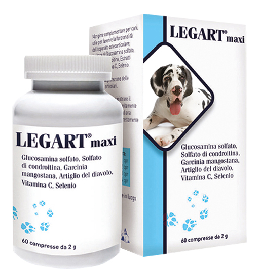 LEGART MAXI 60 COMPRESSE 2 G - dottorbianchi.it