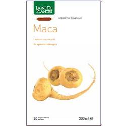 MACA BIO 20 AMPOLLE BEVIBILI DA 15 ML - dottorbianchi.it