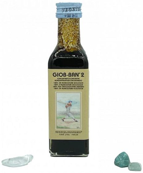 GIOB BAN 2 ART ESTRATTO CONCENTRATO BIOLOGICO 100 ML - dottorbianchi.it