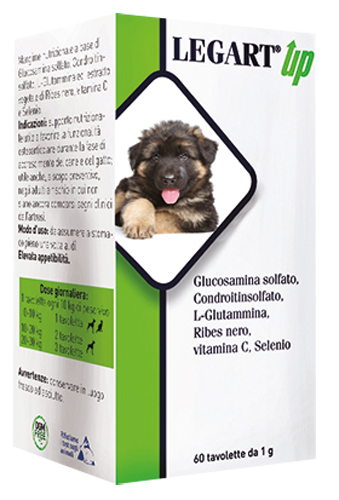 LEGART UP 60 COMPRESSE DA 1 G - dottorbianchi.it