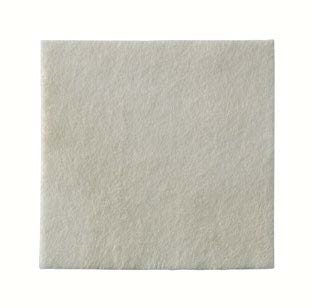 MEDICAZIONE BIATAIN ALGINATE AG IN ALGINATO E CARBOSSIMETILCELLULOSA A RILASCIO DI ARGENTO 5X5 CM 30 PEZZI - dottorbianchi.it