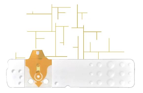 STRISCE MISURAZIONE GLICEMIA LINEA D ORO 25 PEZZI - dottorbianchi.it
