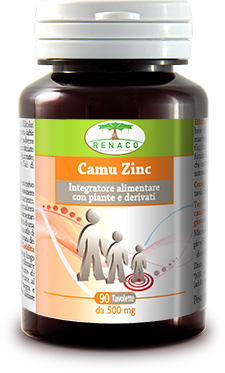 CAMU ZINC 90 COMPRESSE - dottorbianchi.it