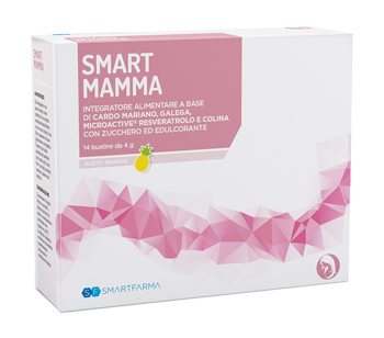 SMART MAMMA 14 BUSTINE GUSTO ANANAS - dottorbianchi.it