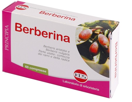 BERBERINA DA BERBERIS VULGARIS ESTRATTO SECCO 60 COMPRESSE - dottorbianchi.it