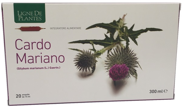 CARDO MARIANO BIOLOGICO 20 AMPOLLE BEVIBILI DA 15 ML - dottorbianchi.it