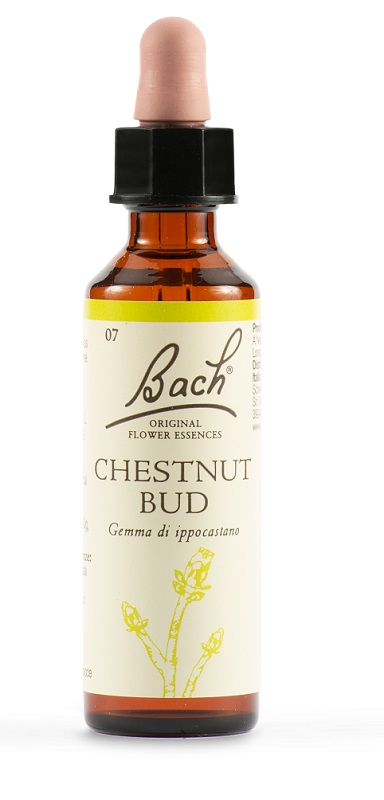 CHESTNUT BUD BACH ORIG 20 ML - dottorbianchi.it