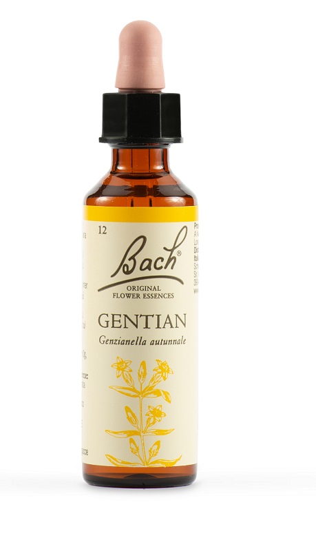 GENTIAN BACH ORIG 20 ML - dottorbianchi.it
