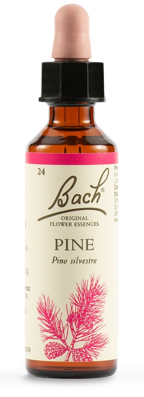 PINE BACH ORIG 20 ML - dottorbianchi.it