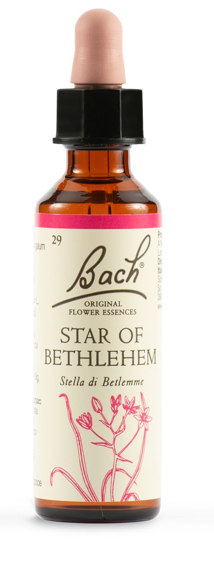 STAR OF BETHL ORIG 20 ML - dottorbianchi.it
