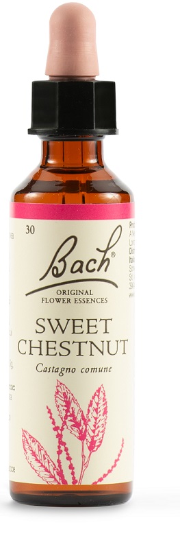 SWEET CHEST BACH ORIG 20 ML - dottorbianchi.it