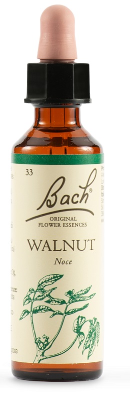 WALNUT BACH ORIG 20 ML - dottorbianchi.it
