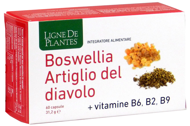BOSWELLIA ARTIGLIO DIAVOLO VITAMINE B2 B6 B9 60 CAPSULE - dottorbianchi.it