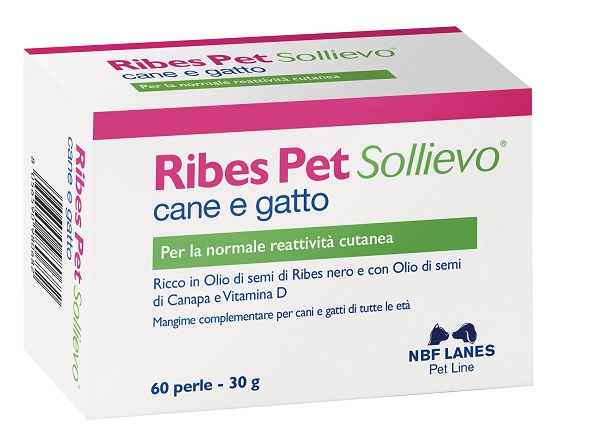 RIBES PET SOLLIEVO BLISTER 60 PERLE - dottorbianchi.it