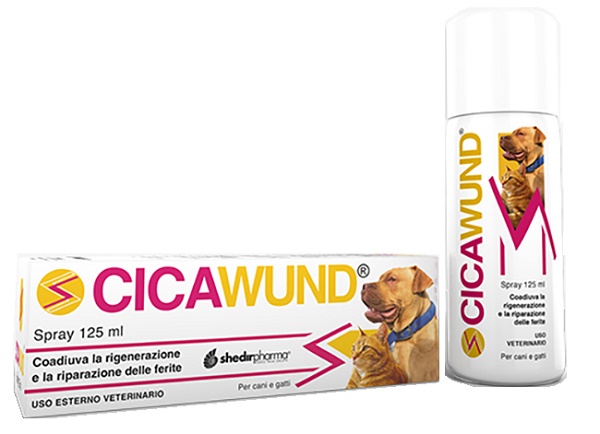 CICAWUND SPRAY 125 ML - dottorbianchi.it