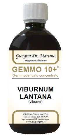 VIBURNO LIQUIDO ANALCOLICO GEMMO 10+ 500 ML - dottorbianchi.it