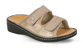 ALIPES TORTORA 37 - dottorbianchi.it