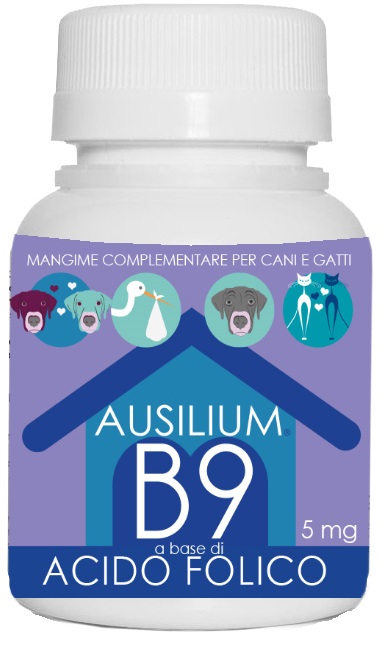 AUSILIUM B9 VET ACIDO FOLICO 100 G - dottorbianchi.it