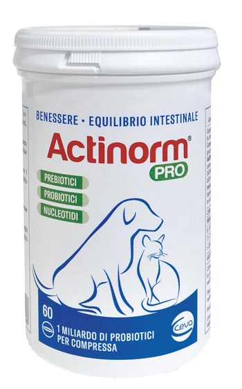ACTINORM PRO FLACONE 60 COMPRESSE - dottorbianchi.it