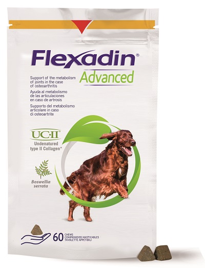 FLEXADIN ADVANCED CANE TUTTE LE TAGLIE 60 TAVOLETTE APPETIBILI - dottorbianchi.it