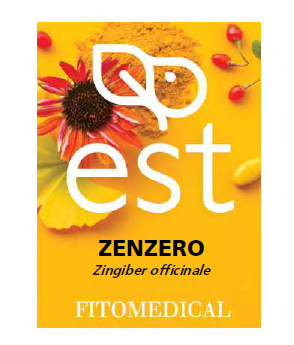 ZENZERO ESTRATTO SECCO 60 TAVOLETTE - dottorbianchi.it