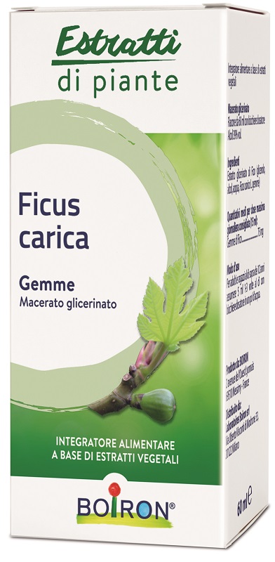 FICUS CARICA GEMME MACERATO GLICERINATO 60 ML INT - dottorbianchi.it