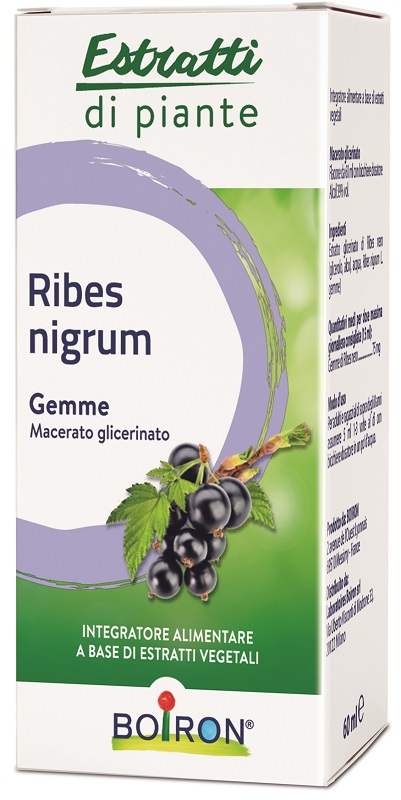 RIBES NIGRUM MACERATO GLICERICO 60 ML INT - dottorbianchi.it