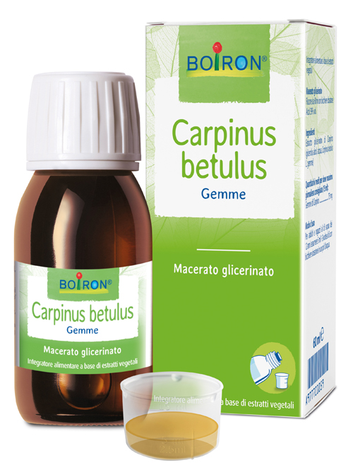 CARPINUS BETULUS MACERATO GLICERICO 60 ML INT - dottorbianchi.it
