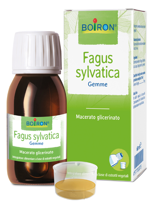 FAGUS SYLVATICA MACERATO GLICERICO 60 ML INT - dottorbianchi.it