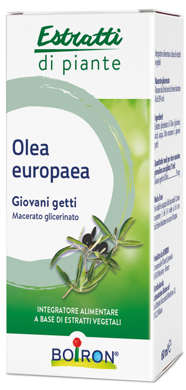 OLEA EUROPAEA MACERATO GLICERICO 60 ML INT - dottorbianchi.it