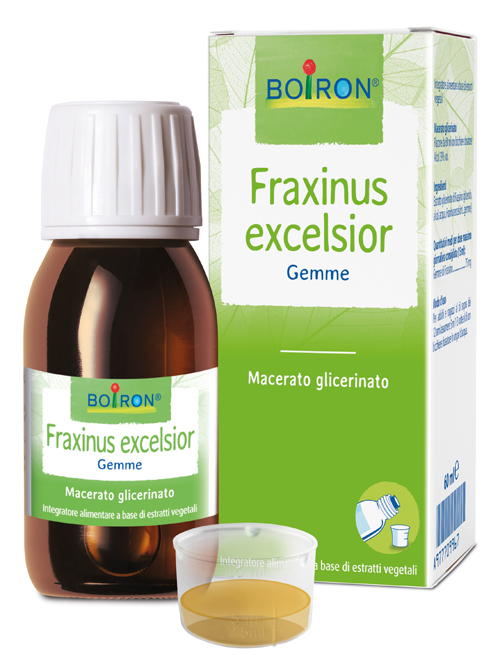 FRAXINUS EXCELSIOR MACERATO GLICERICO 60 ML INT - dottorbianchi.it