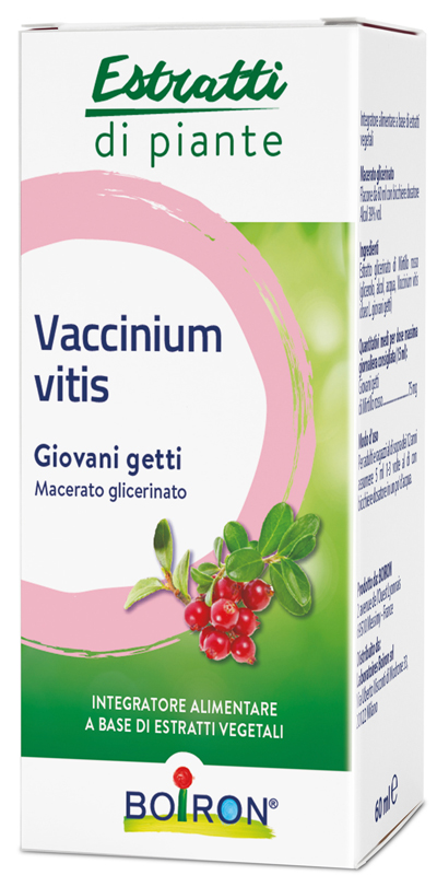 VACCINIUM VITIS MACERATO GLICERICO 60 ML - dottorbianchi.it