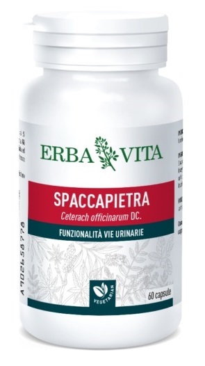 SPACCAPIETRA 60 CAPSULE - dottorbianchi.it