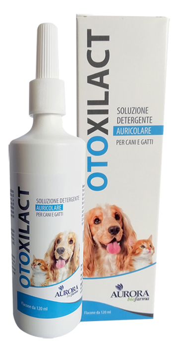 OTOXILACT DETERGENTE AURICOLARE - dottorbianchi.it
