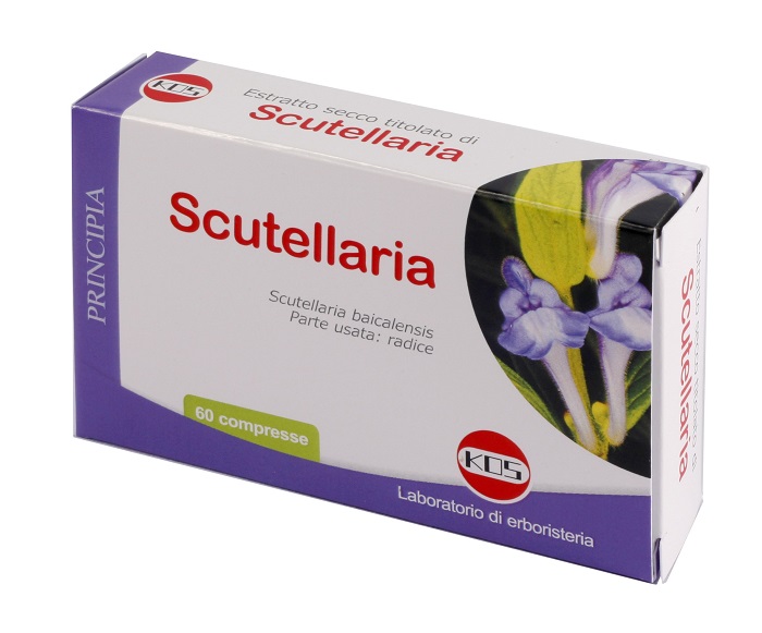 SCUTELLARIA ESTRATTO SECCO 60 COMPRESSE - dottorbianchi.it