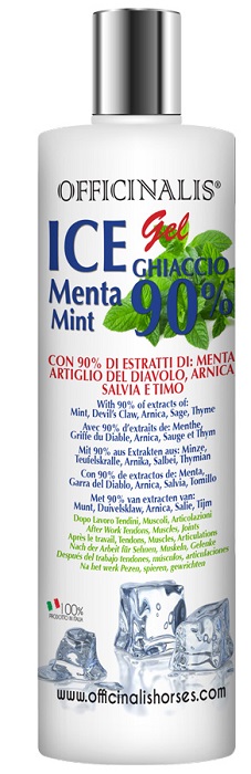 ICE GEL 90% 250 ML - dottorbianchi.it