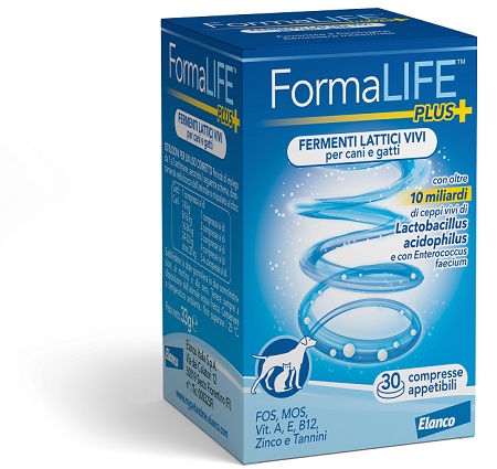 FORMALIFE PLUS FERMENTI LATTICI VIVI 30 COMPRESSE APPETIBILI - dottorbianchi.it
