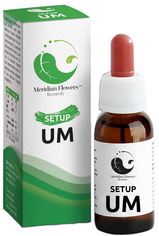 SETUP UM 10 ML MERIDIAN FLOWERS REMEDY - dottorbianchi.it