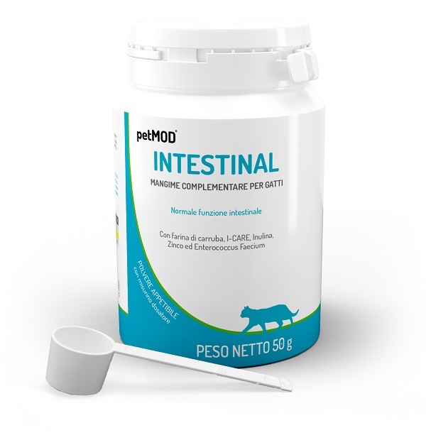 PETMOD INTESTINAL GATTO POLVERE 50 G - dottorbianchi.it
