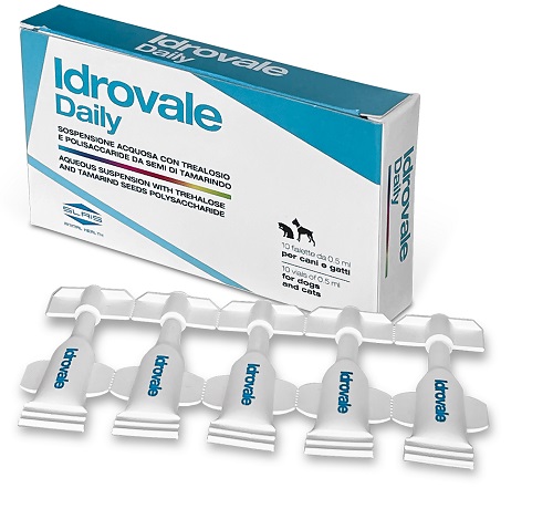 IDROVALE DAILY 10 FIALETTE DA 0,5 ML - dottorbianchi.it