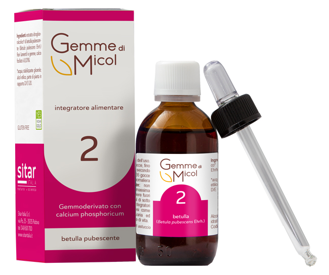 GEMME DI MICOL SOLUZIONE IDROGLICERALCOLICA 2 30 ML - dottorbianchi.it