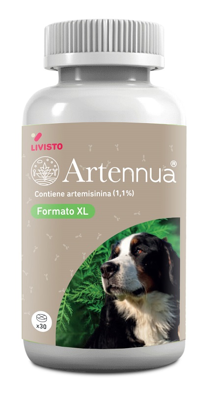 ARTENNUA XL 30 COMPRESSE - dottorbianchi.it